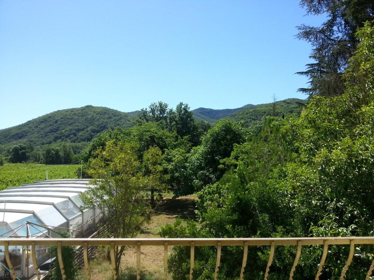 Villa Les Martinets-Piscine-Jacuzzi-Voie Verte-Gorges D'Heric-Massif Du Caroux Mons Olargues 34600 Le Poujol-sur-Orb Buitenkant foto